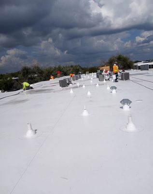 LTZ Roofing Pros