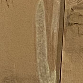 Pipestem Resort State Park - Active mold on ceiling of our room - Resorts Near Me - Pipestem, West Virginia Pipestem Resort State Park - Active mold on ceiling of our room - Resorts Near Me - Pipestem, West Virginia