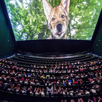 Martinis and IMAX - Fernbank's 3D Giant Screen Theater - Museums Near Me - Atlanta, Georgia Martinis and IMAX - Fernbank's 3D Giant Screen Theater - Museums Near Me - Atlanta, Georgia