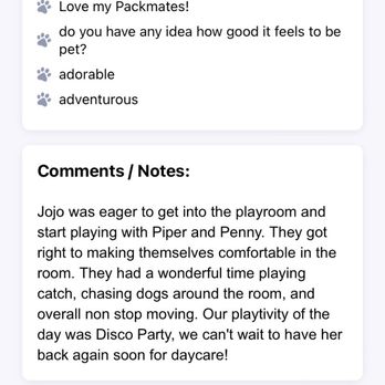 Playful Pack - Pet Boarding Near Me - Alexandria, Virginia