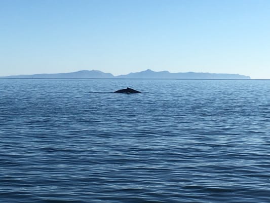 Kodiak Island Adventures by null