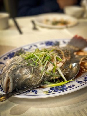 Boston Lobster Seafood Restaurant by null