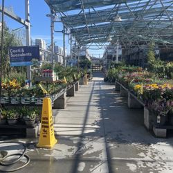 Lowe's Home Improvement