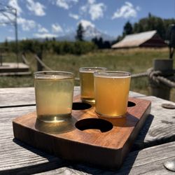 Solera Brewery - Flight of Beer with a view of Mt. Hood!