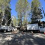 Photo of Timberland Tree Service