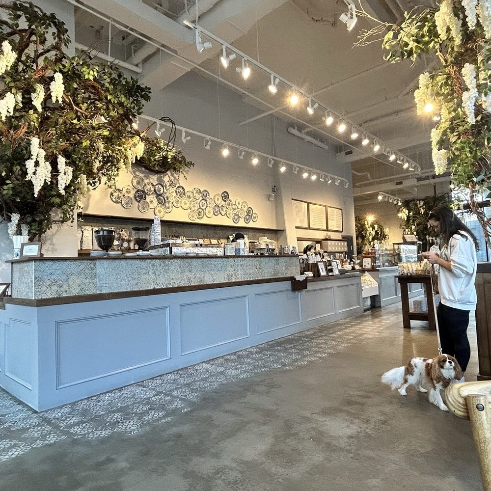 maman - Interior - Bakeries Near Me - Washington, DC, District of Columbia maman - Interior - Bakeries Near Me - Washington, DC, District of Columbia
