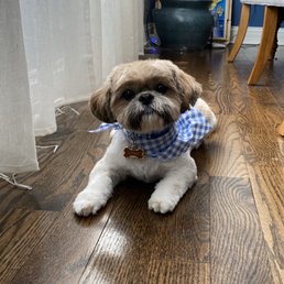 Fresh groom by Liz Fresh groom by Liz