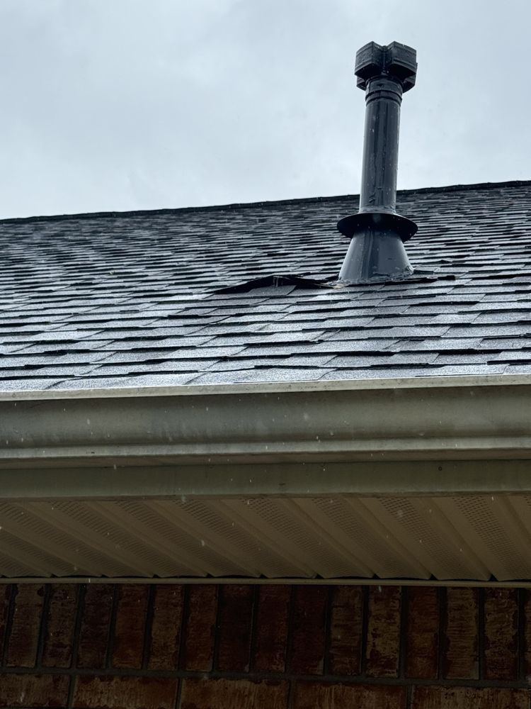 Slide of Byrd On The Roof