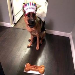 About to smash on her birthday cake! About to smash on her birthday cake!