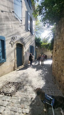 Château et remparts de la cité de Carcassonne by null