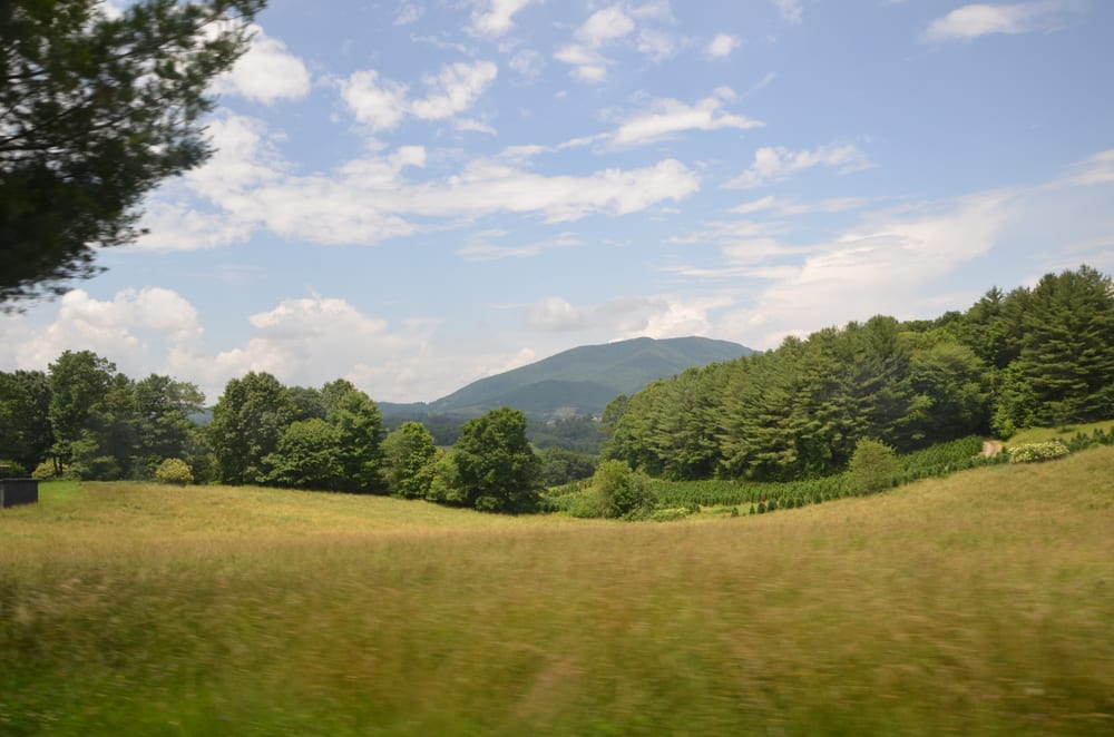 ZALOO’S CANOES 45 Photos & 31 Reviews 3874 Nc Hwy 16 S, Jefferson