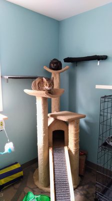 Spruce Valley Boarding 2025