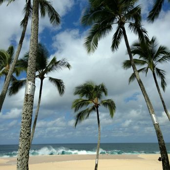 Ke Iki Beach - Palm trees and waves - Beaches Near Me - Haleiwa, Hawaii Ke Iki Beach - Palm trees and waves - Beaches Near Me - Haleiwa, Hawaii