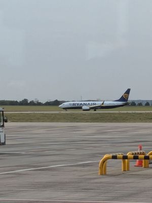 Berlin Brandenburg Airport by null
