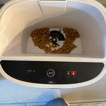 Paws'N Whiskers - Caught the empty pet feeder and refilled it. - Dog Walkers Near Me - Fort Lauderdale, Florida Paws'N Whiskers - Caught the empty pet feeder and refilled it. - Dog Walkers Near Me - Fort Lauderdale, Florida