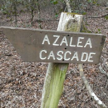 Azalea Cascade Falls Trail - Parks Near Me - Fort Payne, Alabama Azalea Cascade Falls Trail - Parks Near Me - Fort Payne, Alabama