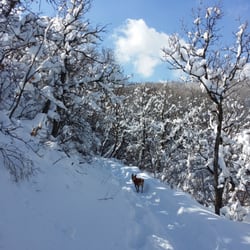 Mueller Park - One of the trails