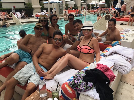 Venus Pool + Lounge by null