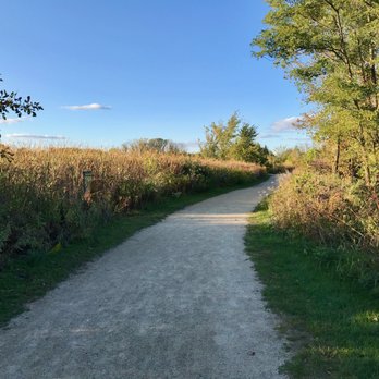 Prairie Wolf - Tall grasses and well-kept paths - Parks Near Me - Deerfield, Illinois