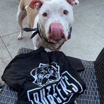 Pups Pub - Dogs on Front Patio, Great Shirt! - Dog Parks Near Me - Tampa, Florida Pups Pub - Dogs on Front Patio, Great Shirt! - Dog Parks Near Me - Tampa, Florida