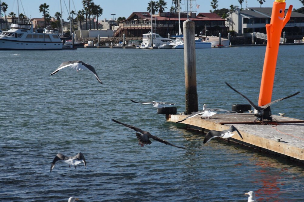 Silver Strand Beach 74 Photos & 32 Reviews Beaches 1002500 Ocean
