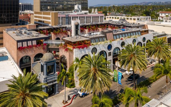 The Rodeo Collection by null