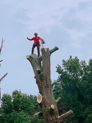 Professional Guys Tree Service - We finished another project with satisfied customer Professional Guys Tree Service - We finished another project with satisfied customer