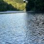 Photo of River Pirate Guide Service