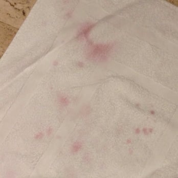 Soleil Salon & Spa - Die still dripping off my body on to bath rug after almost 2 weeks of washing my hair with my normal high-end color safe shampoo - Day Spas Near Me - Windham, New Hampshire Soleil Salon & Spa - Die still dripping off my body on to bath rug after almost 2 weeks of washing my hair with my normal high-end color safe shampoo - Day Spas Near Me - Windham, New Hampshire