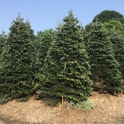 Kelly Nursery