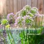 Photo of Lisa Creative Landscape