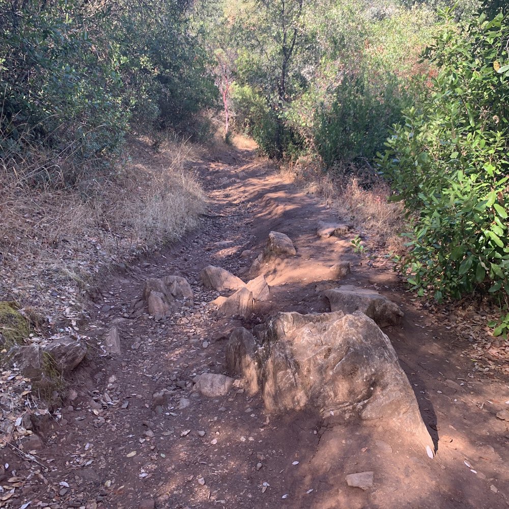 Natural Bridges Hiking Trail - Trail - Hiking Near Me - Vallecito, California Natural Bridges Hiking Trail - Trail - Hiking Near Me - Vallecito, California