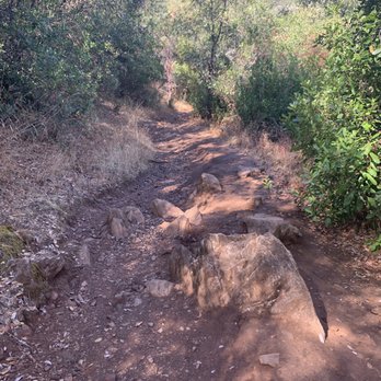 Natural Bridges Hiking Trail - Trail - Hiking Near Me - Vallecito, California Natural Bridges Hiking Trail - Trail - Hiking Near Me - Vallecito, California