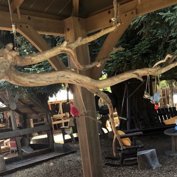 Animal Art Farm - All our felt birds hanging in the tree - Team Building Activities Near Me Animal Art Farm - All our felt birds hanging in the tree - Team Building Activities Near Me