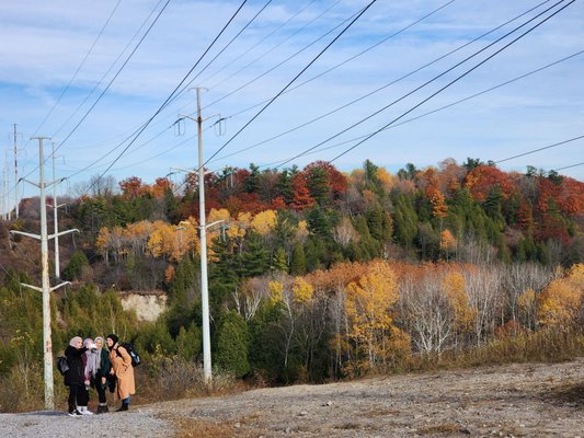 Rouge National Urban Park by null