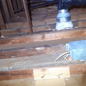Attic Pros - Pre-work in the attic. - Pest Control Near Me - Oakland, California
