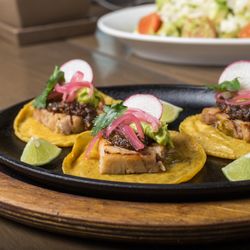 Choice Grill House