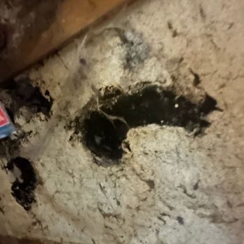 Steve Wolf-RE/MAX Advantage Plus - Mold in basement - Real Estate Agents Near Me - Lakeville, Minnesota