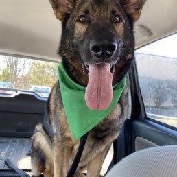 A very handsome and happy boy A very handsome and happy boy
