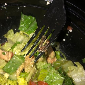 Cancun Juice - I found this insect in my salad. This has never happened to me!! Very disappointed and disgusted . I'm not going to eat here any longer . - Mexican Near Me - Costa Mesa, California Cancun Juice - I found this insect in my salad. This has never happened to me!! Very disappointed and disgusted . I'm not going to eat here any longer . - Mexican Near Me - Costa Mesa, California