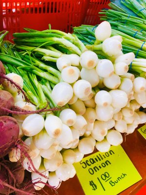 Cape Coral Farmers Market by null