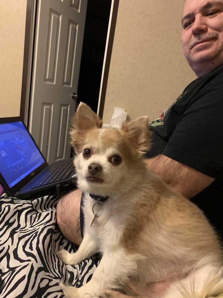 Animal Hospital On Teasley Lane 13 Photos 32 Reviews Veterinarians 3517 Teasley Ln Denton Tx Phone Number Yelp