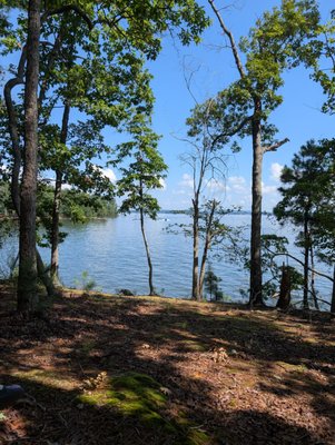 Dreher Island State Park by null