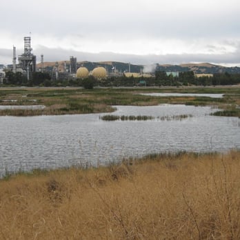 Waterbird Regional Preserve - Parks Near Me - Martinez, California Waterbird Regional Preserve - Parks Near Me - Martinez, California