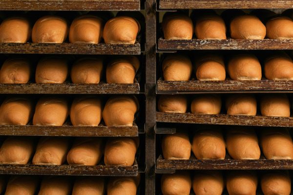 D'Elia's Grinders Eastside by null