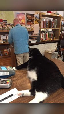 City Lights Bookstore by null