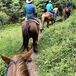 Old Stage Riding Stables - Trail ride