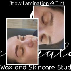 Emerald Wax and Skincare Studio - Brow Lamination and Tint