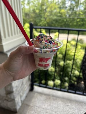 Cruze Farm Ice Cream - East Knoxville by null