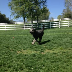 Duffy doing what he loves... playing ball!